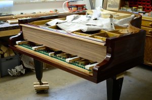 Bechstein B Flügel 203cm Riopalisander historisch authentische R